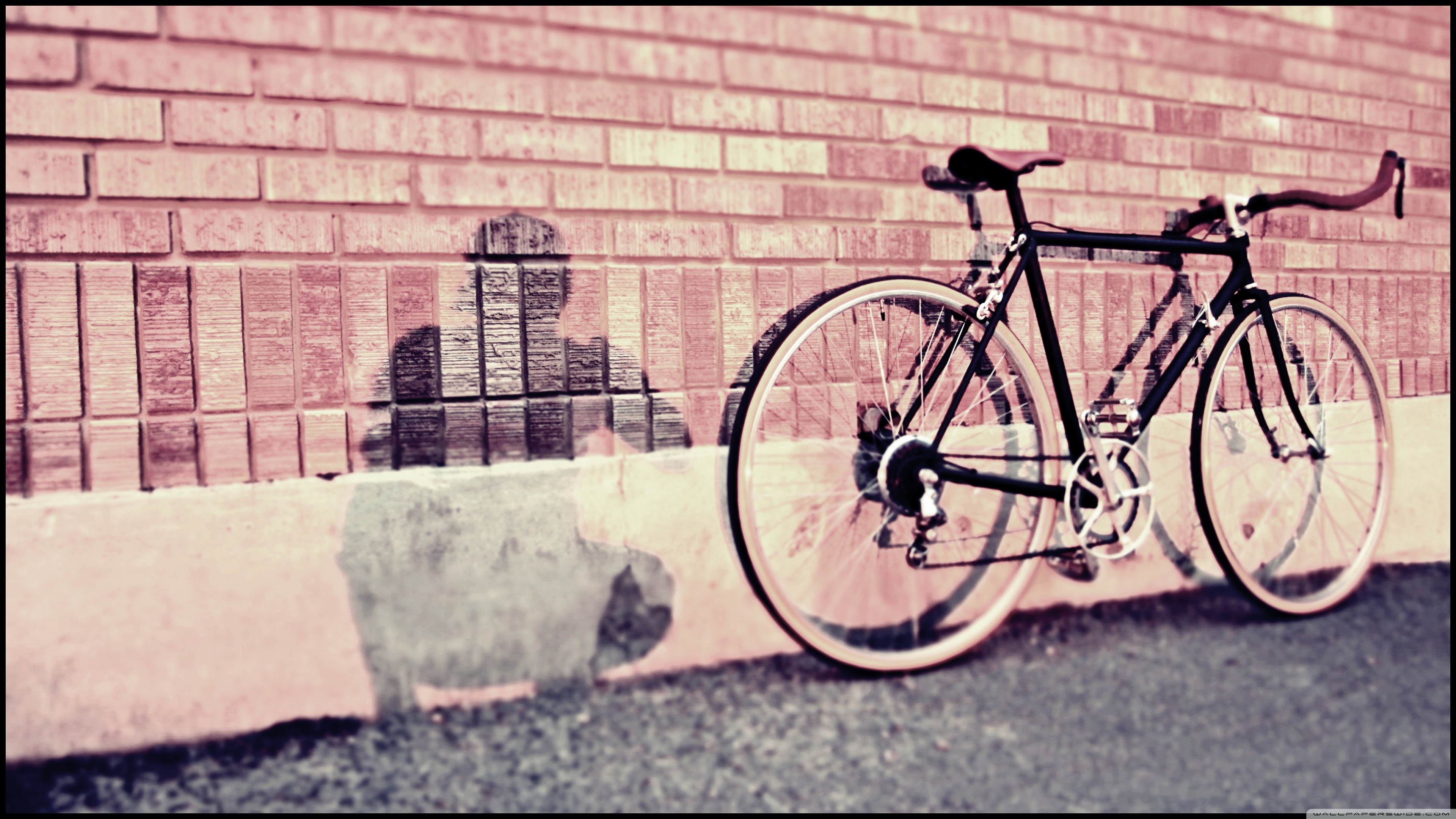 Slideshow Image 1